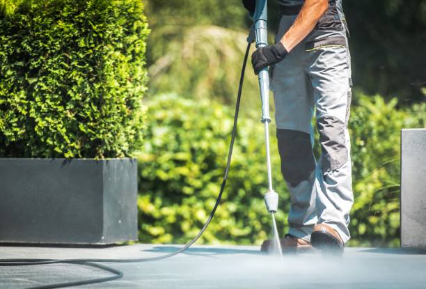 Best House Exterior Washing  in Roseland, FL